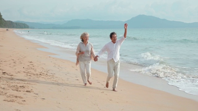 快乐老年夫妇在沙滩视频素材