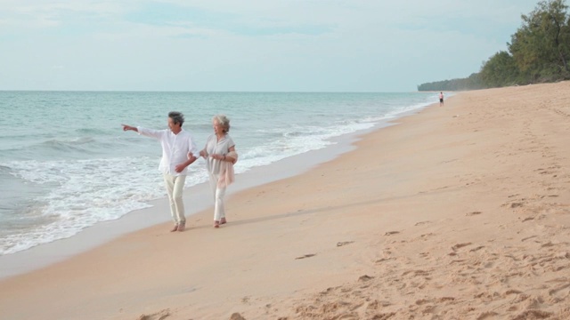 快乐老年夫妇在沙滩散步视频素材