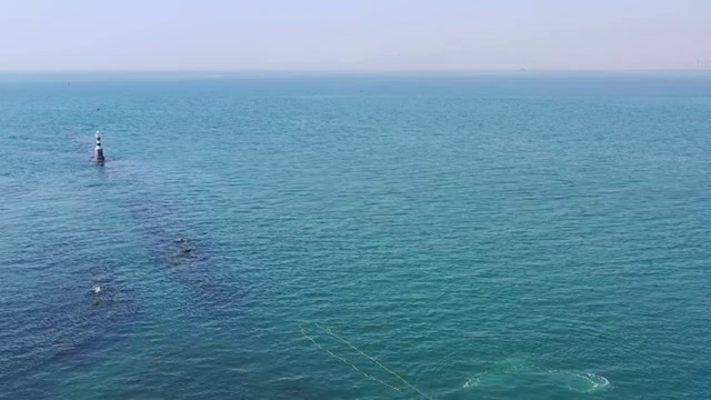 青岛海滨风光航拍4K视频视频素材