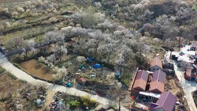 青岛农村风光航拍4K视频视频素材