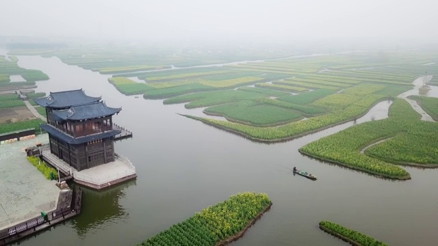 航拍视角下的江苏泰州兴化千垛油菜花4K高清视频视频素材