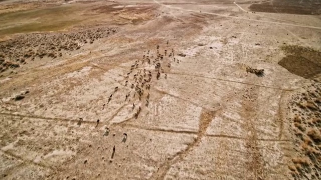 北疆风光视频素材