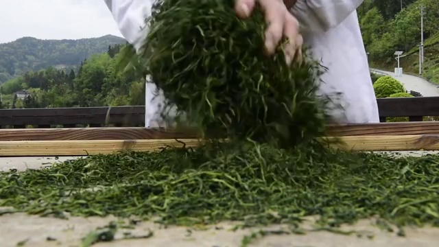 湖北恩施玉露手工茶传统制茶技艺视频素材