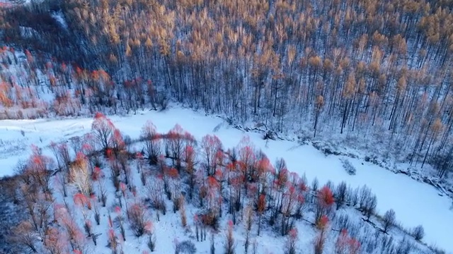 航拍大兴安岭冬季冰河雪林视频素材