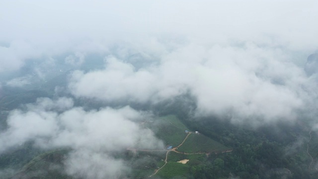 春天里云雾缭绕的群山视频素材