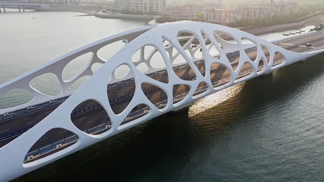 青岛珊瑚贝壳桥视频素材