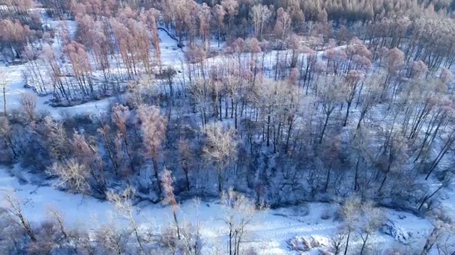 航拍大兴安岭冰河红柳树林雪景视频素材