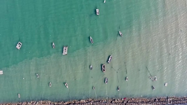 渔船 海鸟视频素材