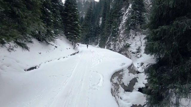 航拍中国新疆被雪覆盖的天山大峡谷视频素材