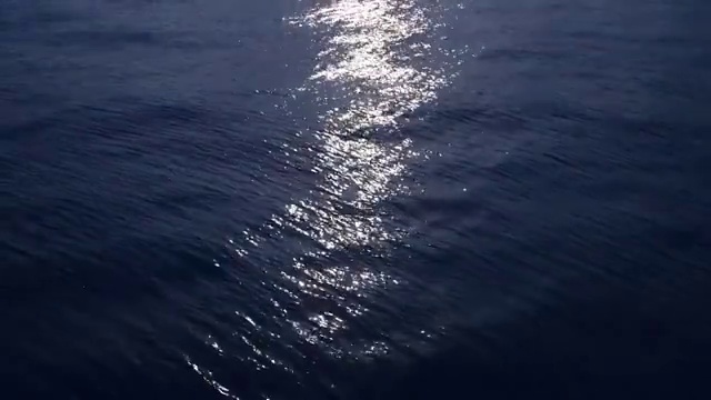 青岛浮山湾视频素材