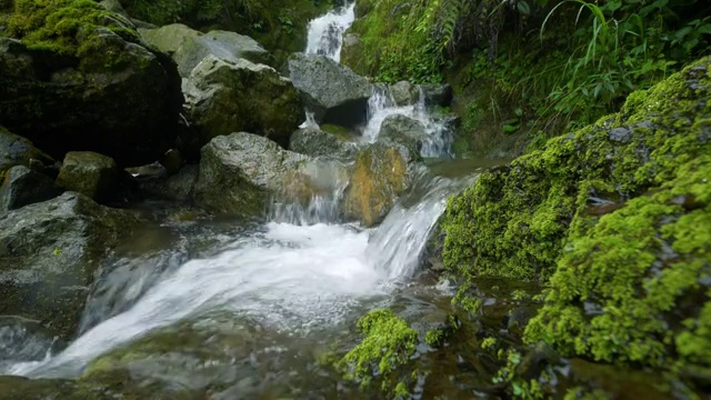 山中美丽的溪水视频素材