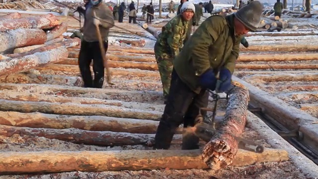 大兴安岭消失的场景：贮木场工人造材视频素材