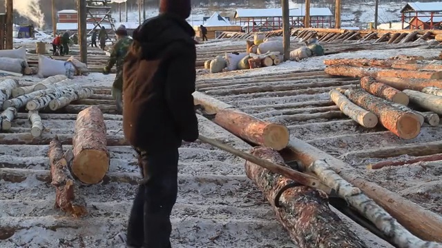 大兴安岭消失的场景：贮木场传送带传输木材视频素材