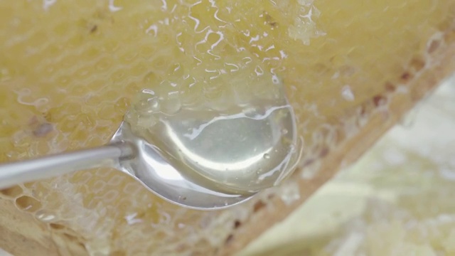 养蜂人在割蜜视频素材