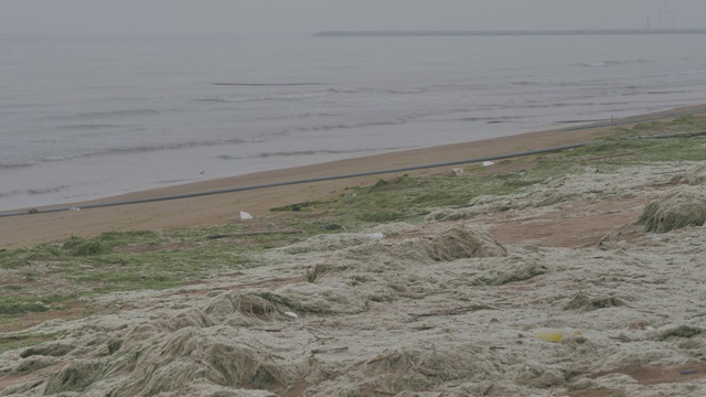 4k高清视频山东沿海沙滩海洋垃圾视频素材