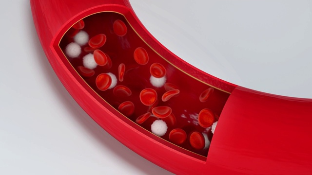 血管内流动的红细胞与白细胞 3D渲染视频下载