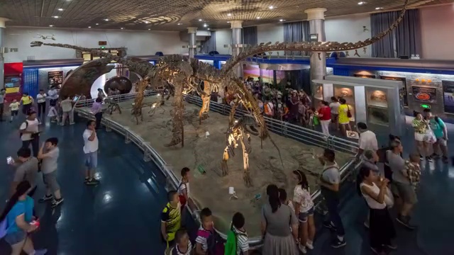 中国自然博物馆展厅4K延时拍摄视频素材