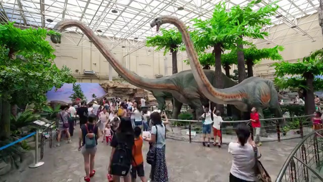 中国自然博物馆展厅4K延时拍摄视频素材