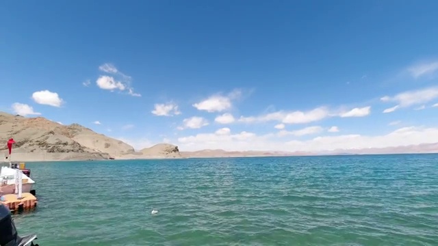 西藏阿里班公湖红嘴鸥视频素材