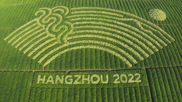 植物组成的杭州亚运会标志视频素材