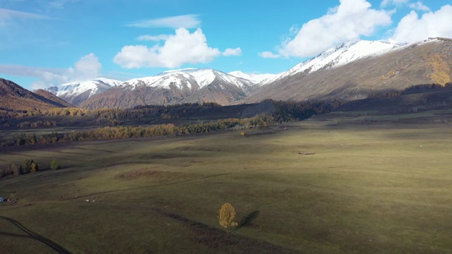 新疆阿勒泰布尔津县喀纳斯景区禾木草原与雪山户外风光航拍视频素材