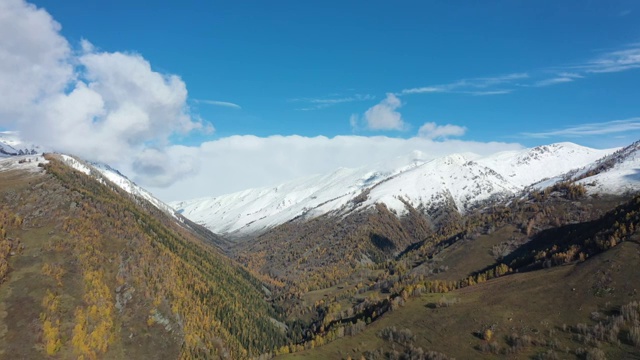 新疆阿勒泰布尔津县喀纳斯景区禾木草原与雪山户外风光航拍视频素材
