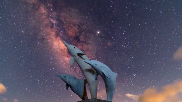 白海海豚雕像银河延时视频下载