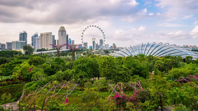 新加坡花园延时视频素材