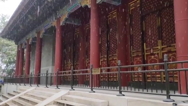 颐和园初雪视频素材