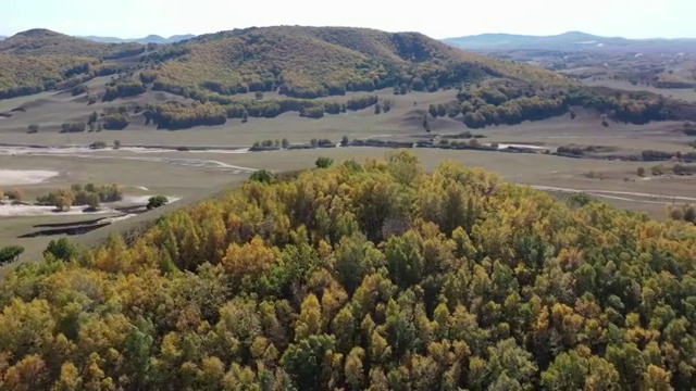 航拍内蒙古乌兰布统坝上草原秋季白天树木视频素材