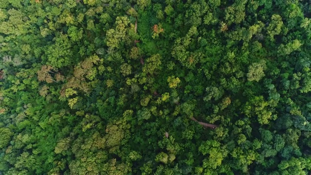 航拍合肥大蜀山森林公园视频素材