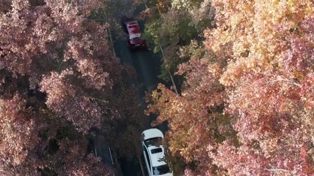 广西桂林市区2020年秋天红枫叶城市道路4K航拍摄影视频素材