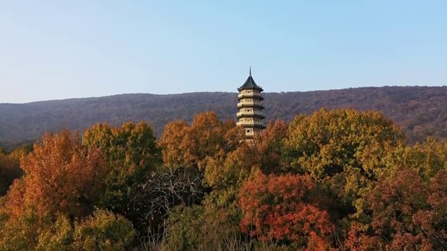 南京灵谷寺景区灵谷塔的秋色视频素材