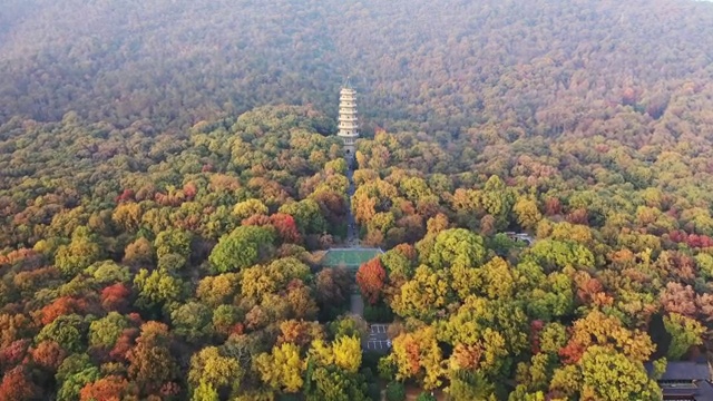 秋意浓浓的南京灵谷寺景区全景视频素材