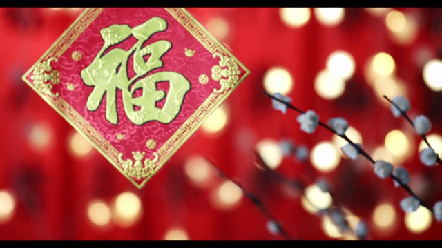 充满中国新年气氛福字春联特写在闪亮闪亮背景前悬挂着视频下载