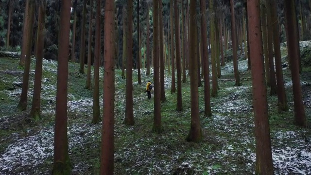 一个穿黄色衣服的男人走在茂密的森林中视频素材