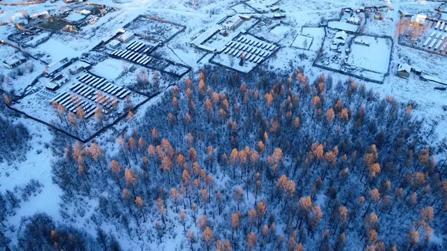航拍大兴安岭林区冬季极寒中的林场山村雪景视频下载
