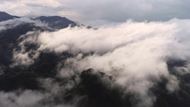 原始森林云海视频素材