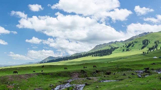 夏季中国新疆那拉提草原景观视频素材
