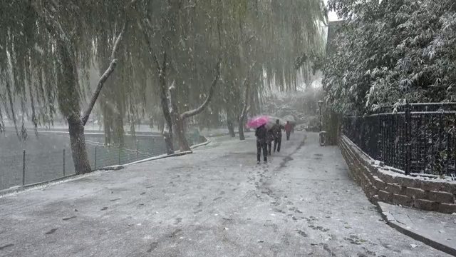大雪中的北京陶然亭公园视频下载