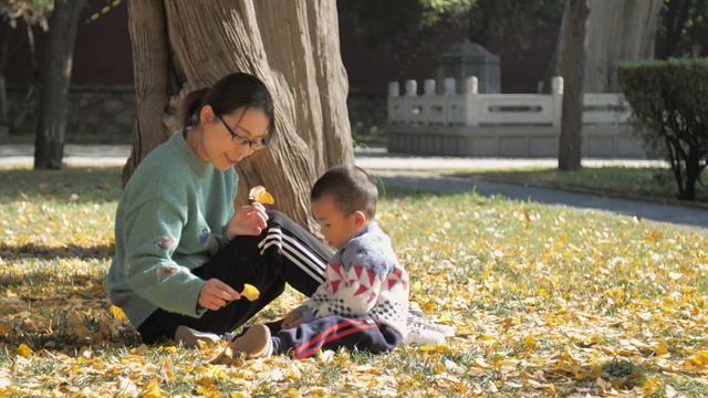周末家庭亲子娱乐活动捡树叶玩耍 4k高清视频视频素材