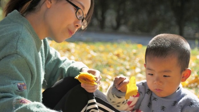 周末家庭亲子娱乐活动捡树叶玩耍 4k高清视频视频素材