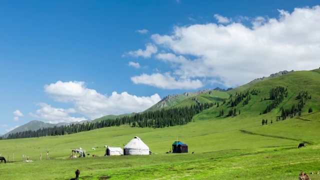 夏季中国新疆那拉提草原景观视频素材