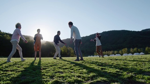 快乐的的六口之家在草地上玩闹视频素材