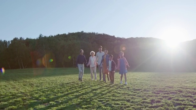 快乐的家庭手牵手在草地上奔跑视频素材