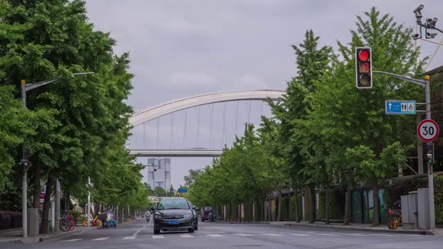 江滨路 车流 背景卢浦大桥视频素材