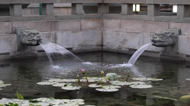 香港南莲园池龙吐水视频素材