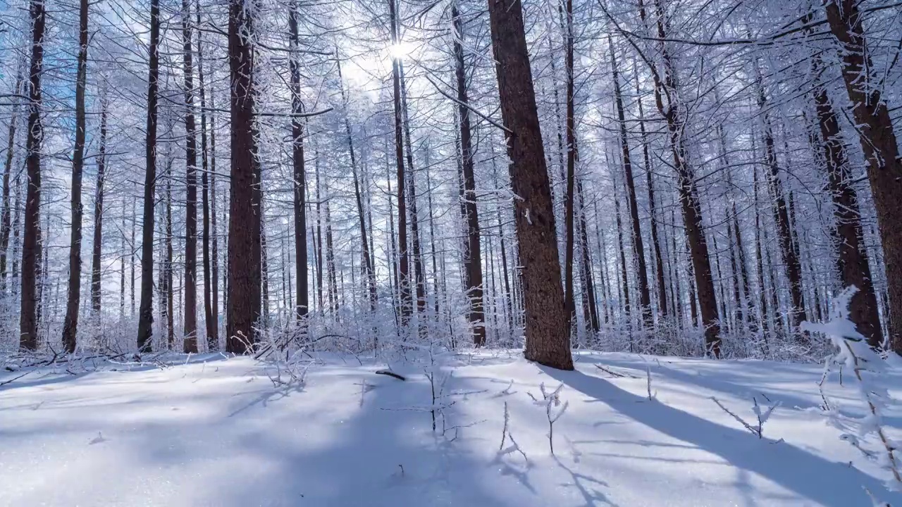 4k冬天山川树林冰雪延时摄影视频下载