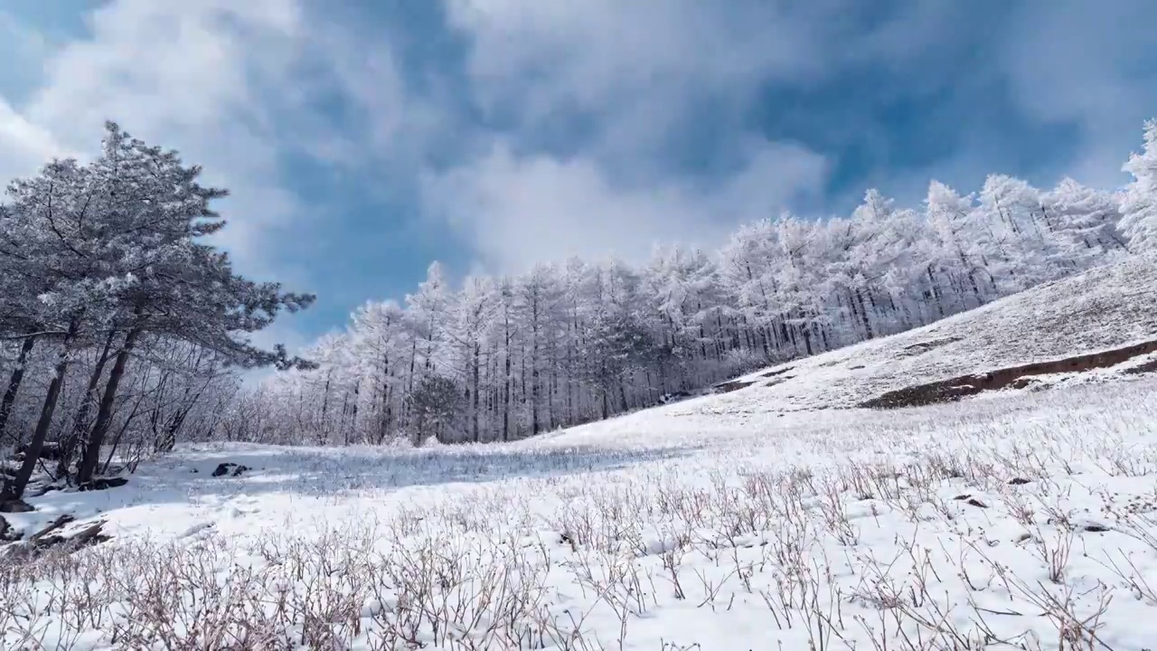 4k冬天山川树林冰雪延时摄影视频素材