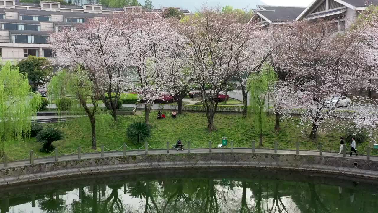 东阳市白云观音文化城春季风光4K航拍视频素材